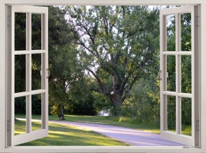 Evening Walk Beside the River